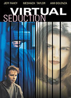 Title: Virtual Seduction (1995)