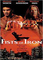 Title: Fists of Iron (1995)