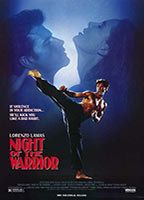 Title: Night of the Warrior (1991)