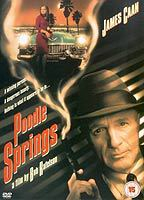 Title: Poodle Springs (1998)
