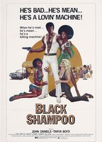 Title: Black Shampoo (1976)