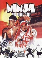 Title: Ninja: The Final Duel (1986)