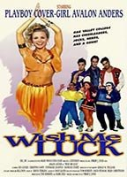 Title: Wish Me Luck (1995)