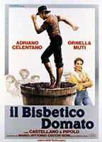 Title: Il bisbetico domato (1980)