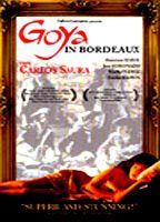 Title: Goya in Bordeaux (1999)