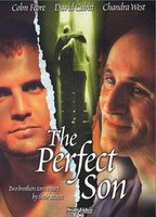 Title: The Perfect Son (2000)