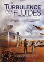 Title: La turbulence des fluides (2002)