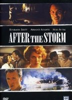 Title: After the Storm (2001)