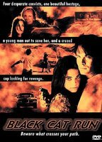 Title: Black Cat Run (1998)