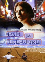 Title: David im Wunderland (1998)