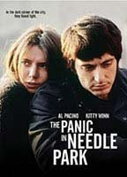 Title: The Panic in Needle Park (1971)