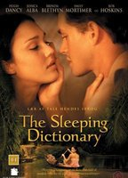 Title: The Sleeping Dictionary (2002)