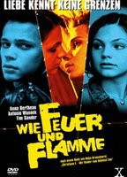 Title: Wie Feuer und Flamme (2001)