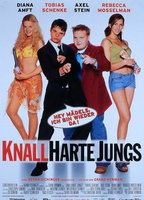 Title: Knallharte Jungs (2002)