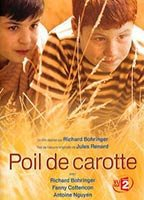 Title: Poil de carotte (2003)