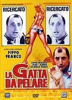 Title: La gatta da pelare (1981)