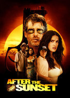 Title: After the Sunset (2004)