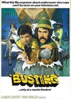 Title: Busting (1974)