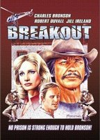 Title: Breakout (1975)