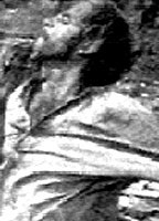 Title: Adam's Woman (1970)