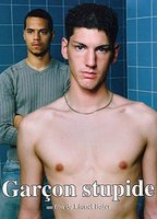 Title: Garçon stupide (2004)