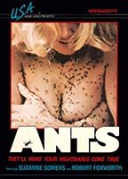 Title: Ants! (1977)