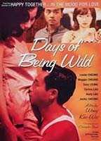 Title: Days of Being Wild (1991)
