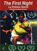Title: The First Night (2003)