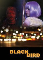 Title: Blackbird (2007)
