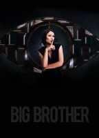 Title: Big Brother (2000)