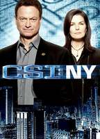 Title: CSI: NY