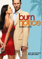 Title: Burn Notice (2007)