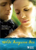 Title: Wide Sargasso Sea (2006)