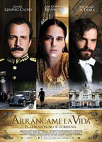 Title: Arráncame la vida (2008)