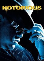 Title: Notorious (2009)