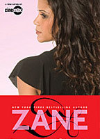 Title: Zane's Sex Chronicles (2008)