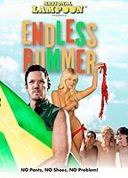Title: Endless Bummer (2009)