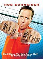 Title: Big Stan (2007)