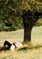 Title: La Vénus à Lulu (1991)