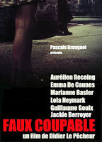 Title: Faux coupable (2011)