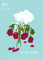 Title: The Meteor (2013)