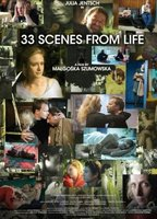 Title: 33 Scenes From Life (2008)