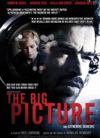 Title: The Big Picture (2010)