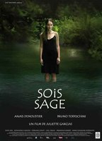 Title: Sois sage (2009)