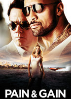 Title: Pain & Gain (2013)