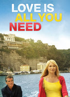 Title: Love Is All You Need (2013)