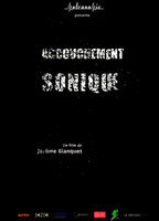 Title: Accouchement sonique (2010)