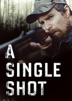 Title: A Single Shot (2013)