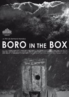 Title: Boro in the Box (2011)