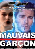 Title: Mauvais garçon (1993)